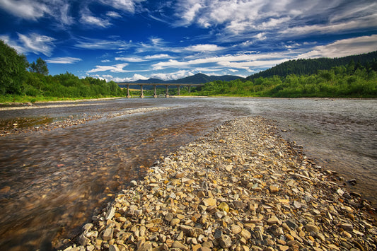 L’importance des substrats naturels dans la qualité de l’eau des étangs