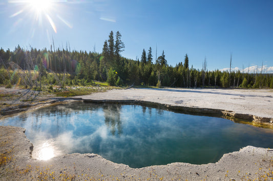 Comment les fortes chaleurs impactent votre étang (et comment y remédier naturellement)