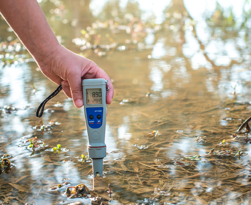 Étang connecté : surveiller la qualité de l’eau avec des outils simples