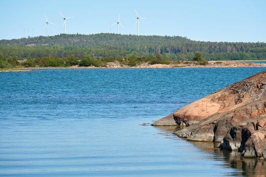 Étang et vent : comment le vent influence la qualité de l’eau ?