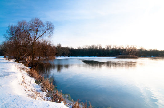 Étang en hiver : que faut-il faire ou éviter pendant la saison froide ?