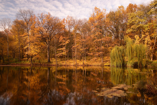 Préparer son étang à l’arrivée de l’automne