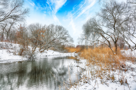 Faut-il entretenir son étang en hiver ? Ce qu’il ne faut pas négliger
