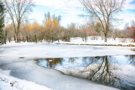 Étang en hiver : faut-il le protéger du gel ?
