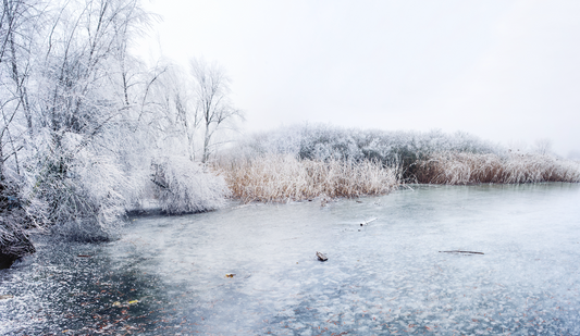 Que faire quand l’eau de l’étang gèle en hiver ? Prévention et bons réflexes