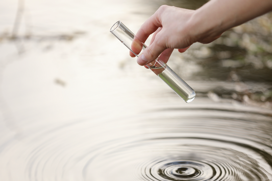 Comment tester la qualité de l’eau de son étang ? Les indicateurs à surveiller