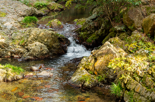 Étang et courant d’eau : faut-il une circulation ou laisser l’eau stagnante ?