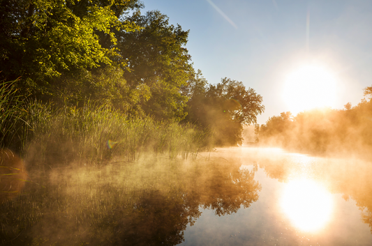 Comment protéger son étang des effets néfastes du soleil ?