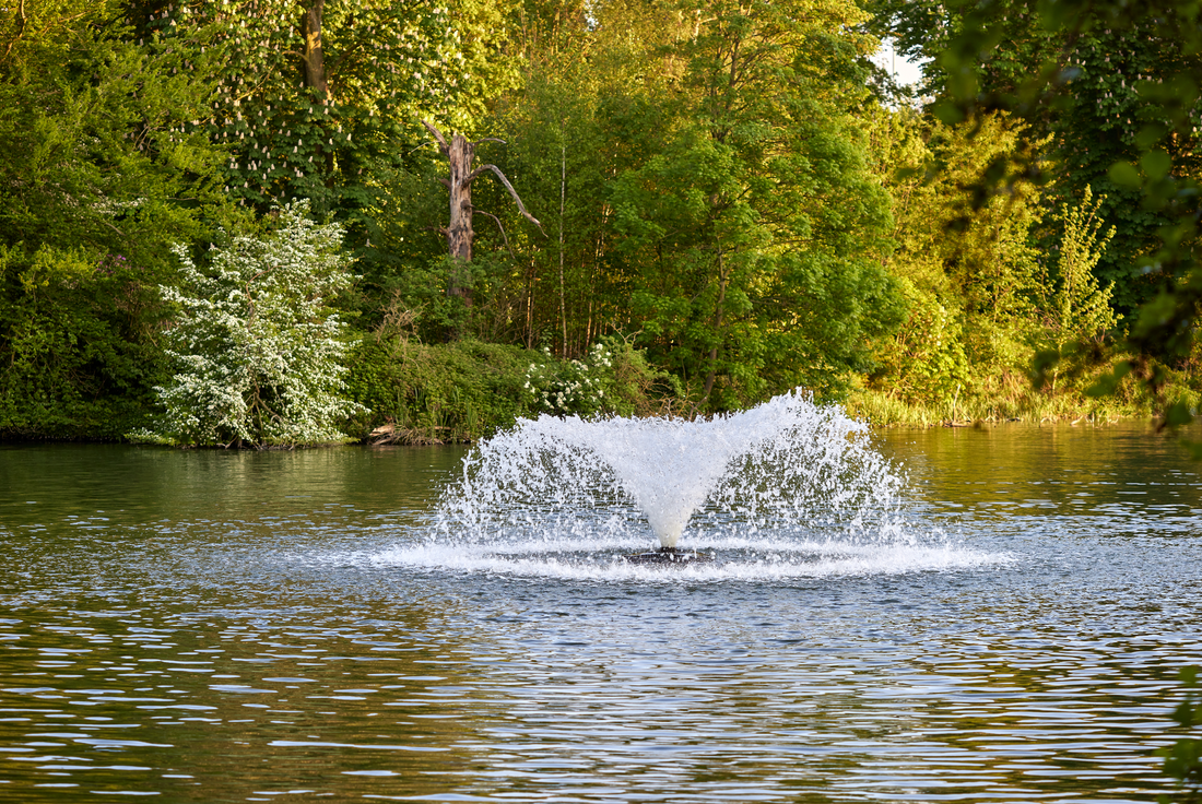 Installer un circulateur d’eau ou une fontaine : pour quoi faire ?
