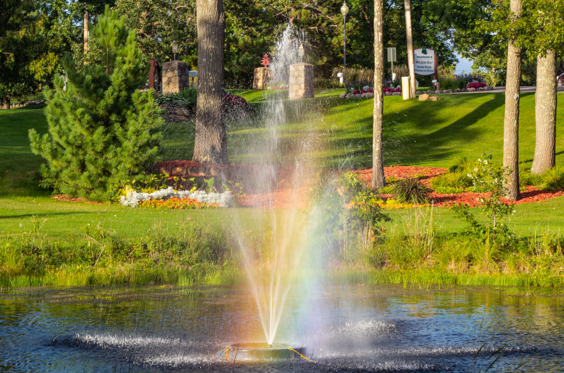 Bien positionner une fontaine flottante : conseils pour une efficacité maximale