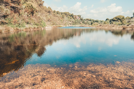 Étang et bien-être : les bénéfices d’un plan d’eau sain