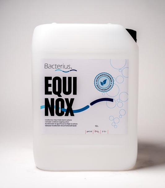 Bacterius®EQUINOX - traitement contre la vase