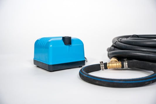 BULLEO spécial petit bassin