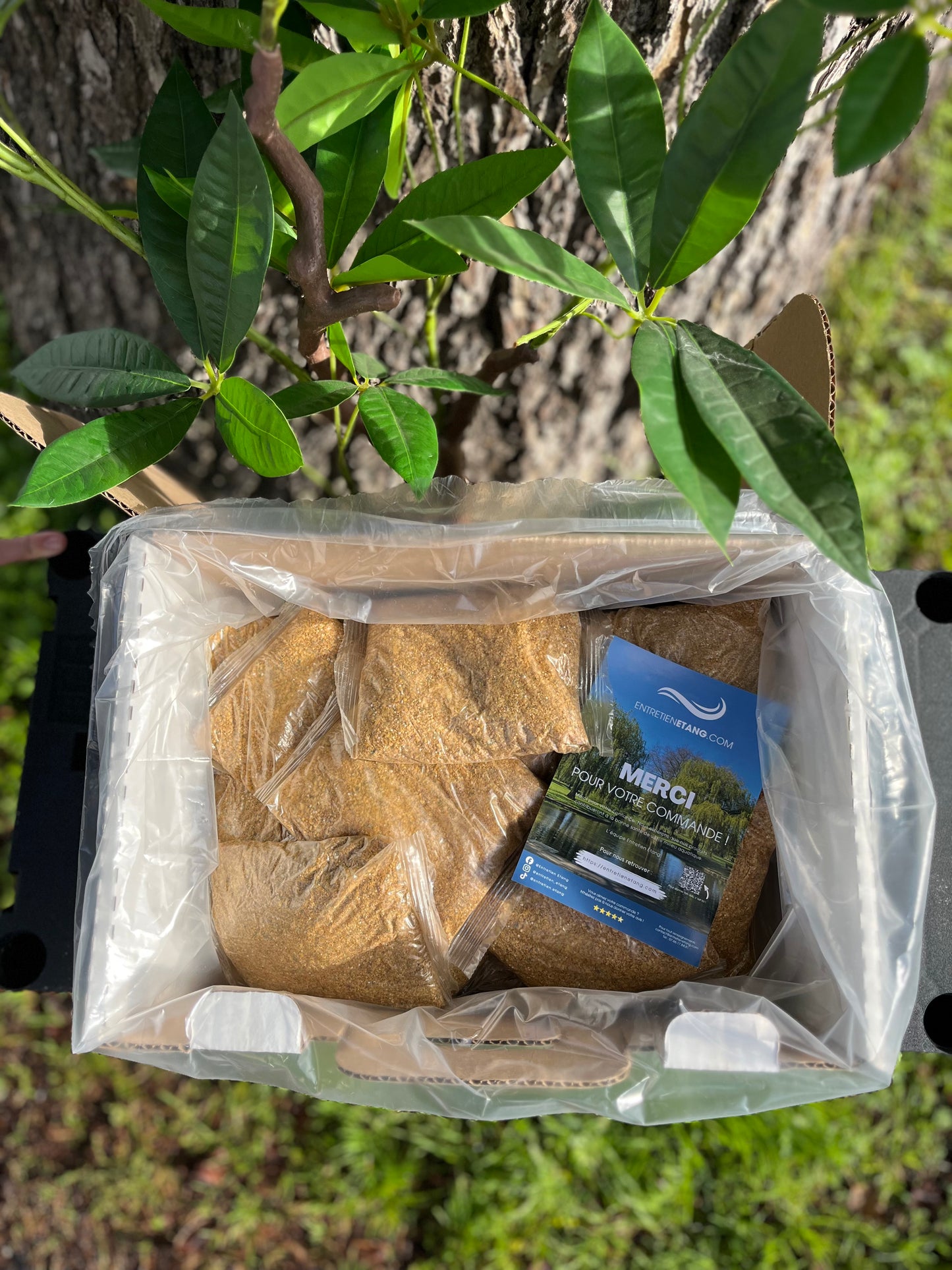 Bacterius®5B - Concentrated bacterial mixture against slime