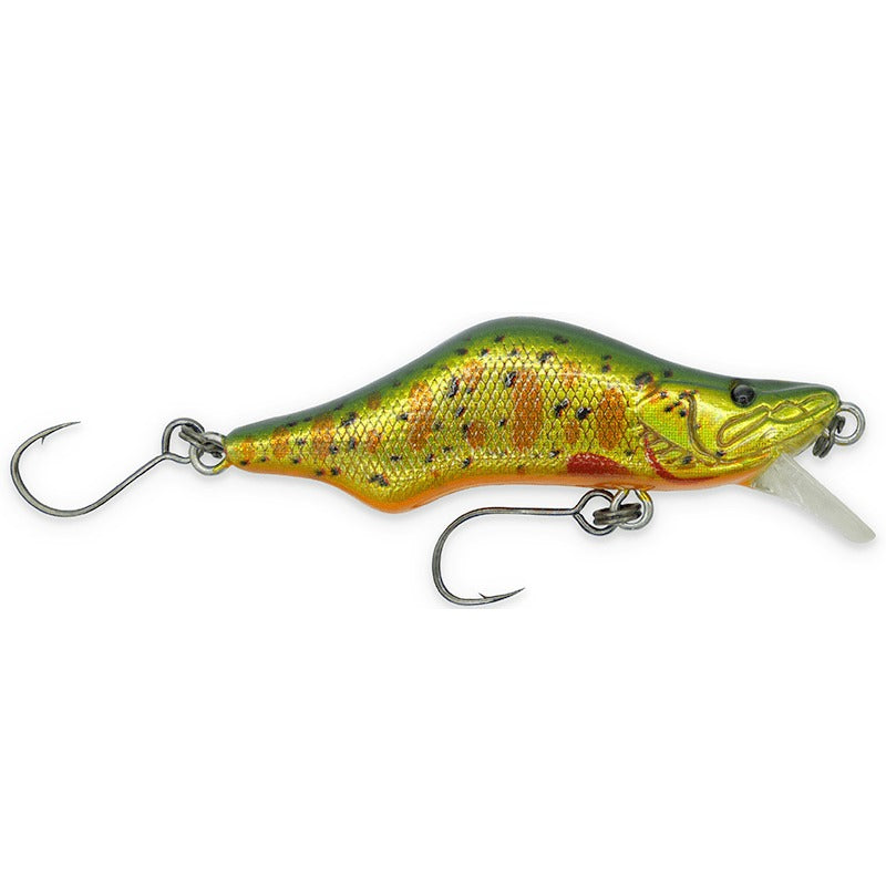 Sico first 53 suspending Flashy