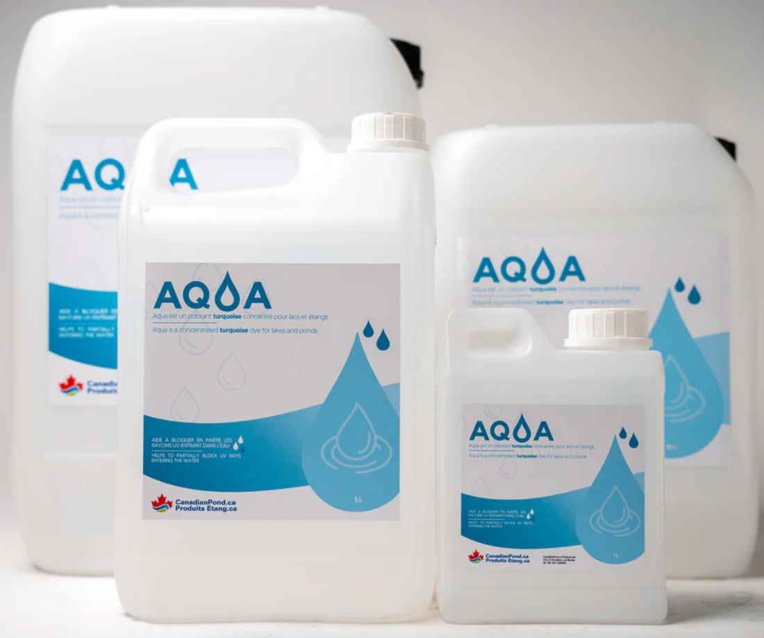 Colorants pour étang : utilité, fonctionnement et bénéfices écologiques