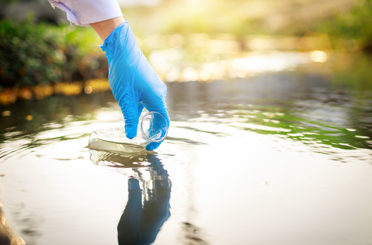 Les avantages des produits naturels pour l’entretien de votre étang