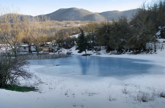 Étang gelé en hiver 