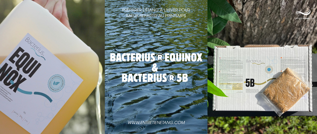 Bacterius®EQUINOX: préparer l'étang à l'hiver pour mieux repartir au printemps