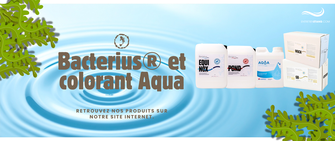 Bacterius® et colorant Aqua : des solutions naturelles aux impacts positifs pour l'écosystème