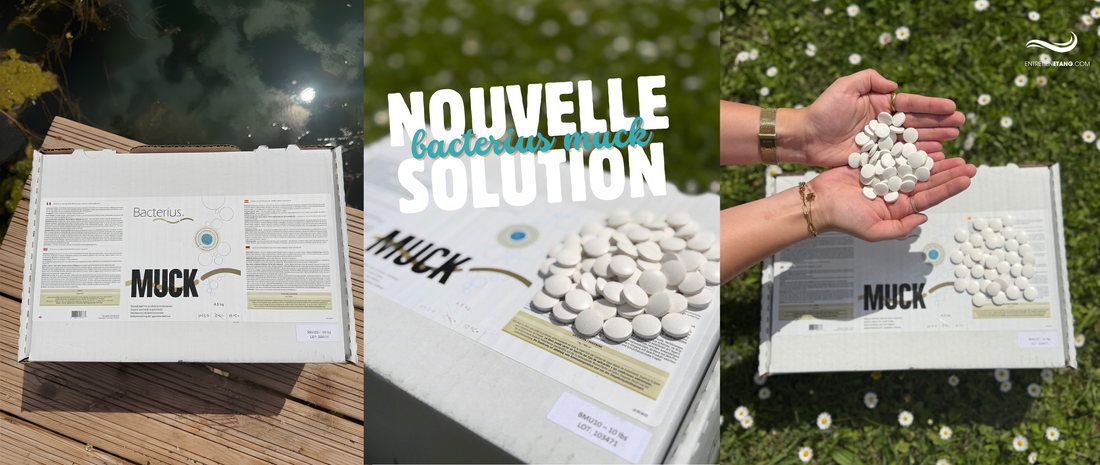 Retrouvez le plaisir d’un fond d’étang sain avec le Bacterius Muck