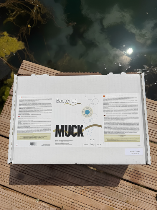 BACTERIUS® MUCK Traitement concentré contre la vase