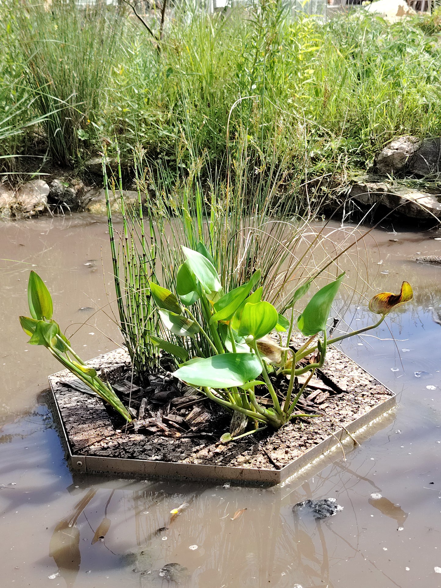 Ilôt Flottant ALOÉ© Mini