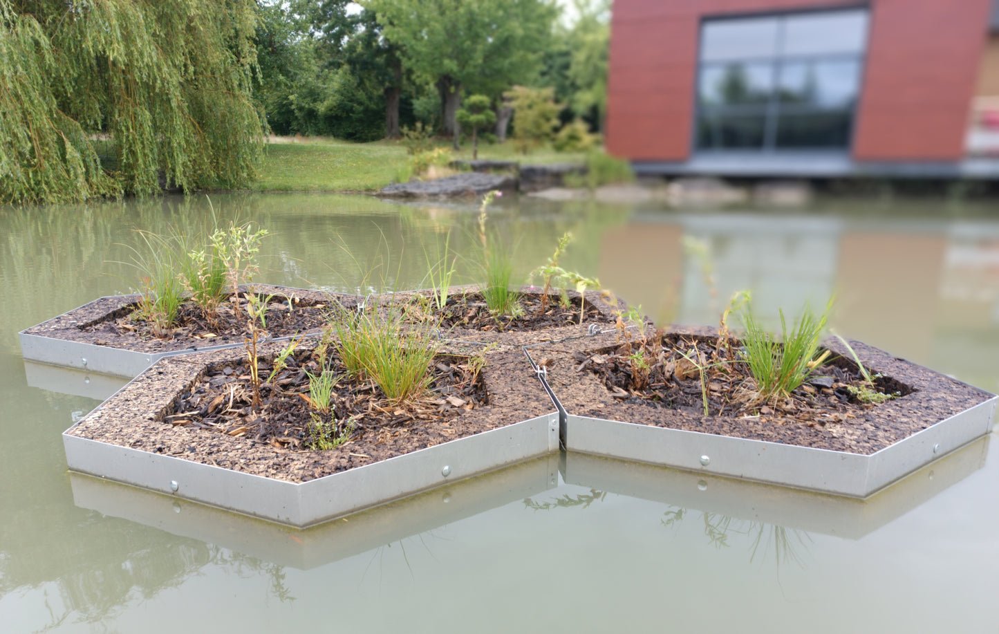 Ilôt Flottant ALOÉ©